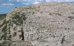 Chachao Fm. reservoir pavement with fracture networks (field of view ~250m), Neuquén Basin, Argentina.
