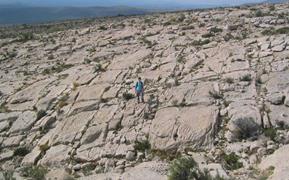 Chachao Fm. reservoir pavement with fracture networks (person for scale), Neuquén Basin, Argentina.